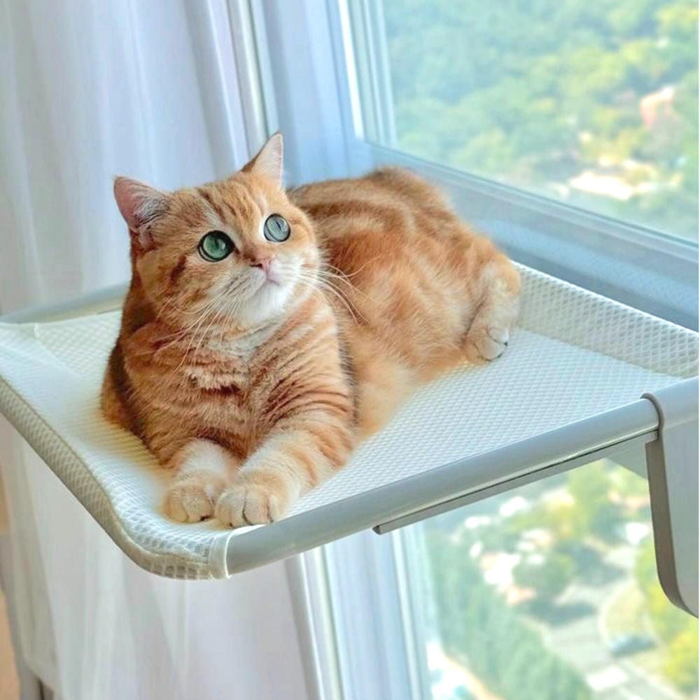 오르펫 고양이 창문해먹